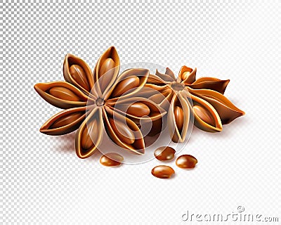 Anise stars isolated on transparent background. Vector Illustration