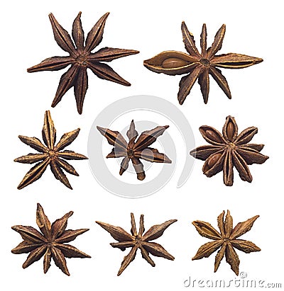 Seed pods Stock Photo