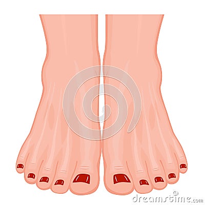 Ankle_Human feet with colored toenails Vector Illustration