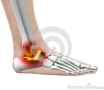 Ankle Pain Injury - Anatomy Male - Studio photo isolated on whit Stock Photo