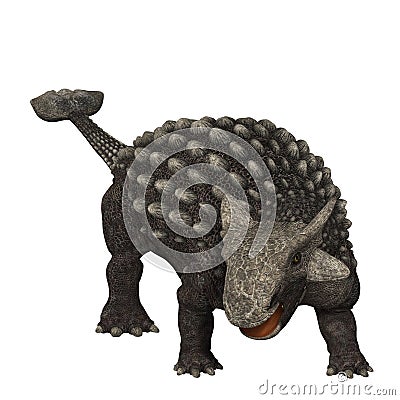 Ankylosaurus 01 Stock Photo