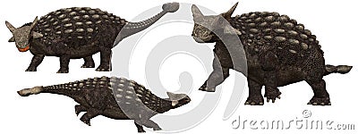 Ankylosaurus Stock Photo