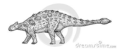 Ankylosaurus illustration, drawing, engraving, ink, line art, vector Vector Illustration