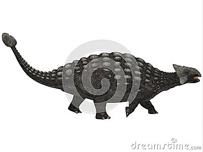 Ankylosaurus on White Stock Photo