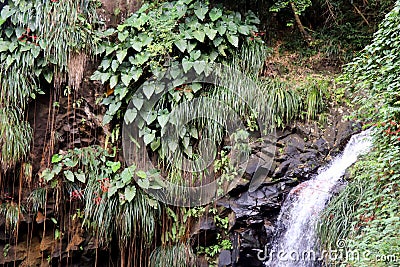 Annandale waterfall on the Caribbean island of Granada Stock Photo