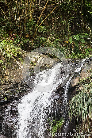 Annandale Waterfall in Grenada Stock Photo