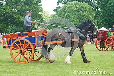 Heavy Horse show at Capel Manor June 2017 Editorial Stock Photo