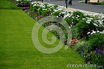 Annual flowerbed in a formal park of rectangles in the lawn. perfect connected flower bed at the pedestrian zone with benches Stock Photo