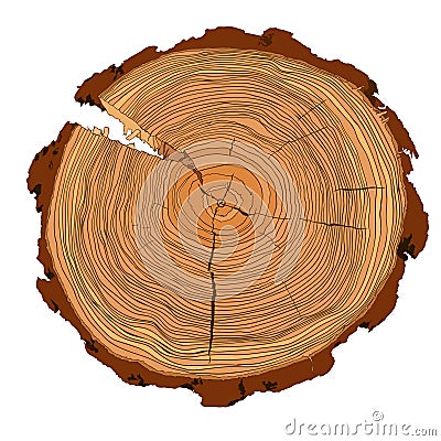 Annual tree growth rings with brown tones drawing of the cross-section of a tree trunk Stock Photo