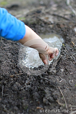 Anonymous child arms and hands playing with mud and water Stock Photo