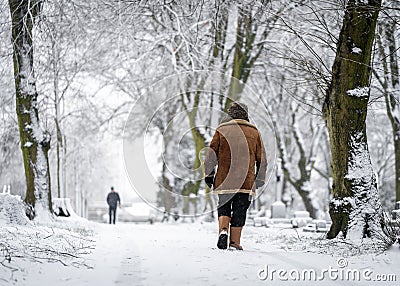 Anonymous commuter walking to work during winter blizzard and heavy snowstorm wrapped up warm through woodland Stock Photo