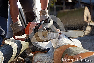 Anonymous man with chainsaw cutting logs Stock Photo