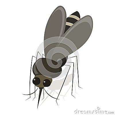 Anopheles Mosquito Vector Illustration