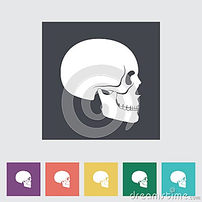 Anotomy skull Vector Illustration
