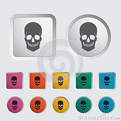 Anotomy skull Vector Illustration