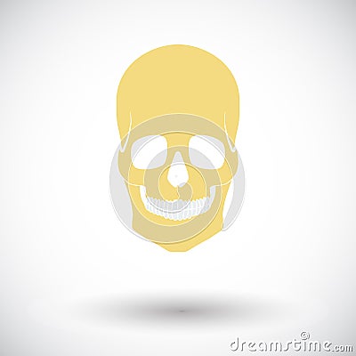 Anotomy skull Vector Illustration