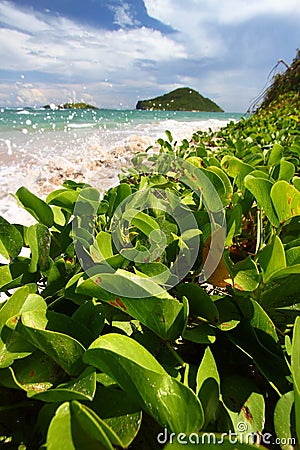 Anse de Sables Beach - St Lucia Stock Photo