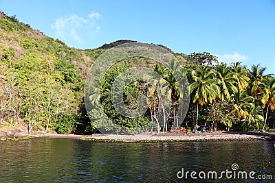 Anse Noire Beach Martinique Island Caribbean Sea Stock Photo