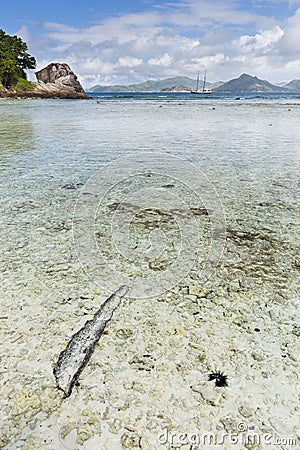 Anse Severe, La Digue, Seychelles Stock Photo