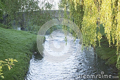 Anstey Brook Stock Photo