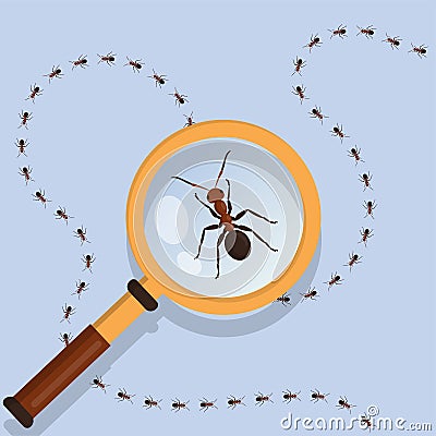 Ant animal. Magnifier zoom lens eyes. Macro computer look. Marching termites. Magnifying glass for entomology research Vector Illustration