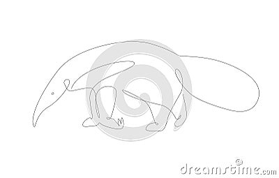 Ant-bear and ant-eater line art illustration. South America animals. Unusual species outline Vector Illustration