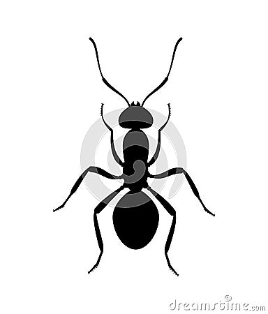Ant black silhouette top view. Icon or insect symbol. Vector Illustration