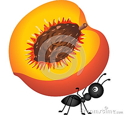 Ant carrying a peach Vector Illustration