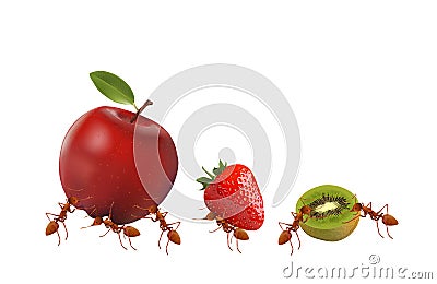 Ant and fruit on white Vector Illustration