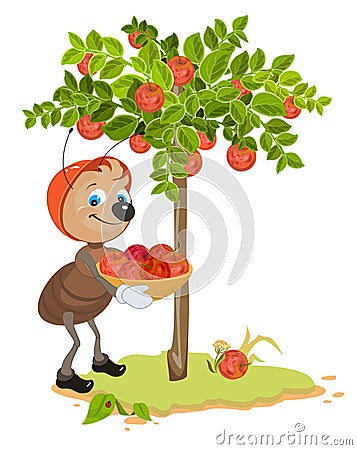 Ant Gardener gather apples. Apple tree and red ripe apples. Orchard Vector Illustration