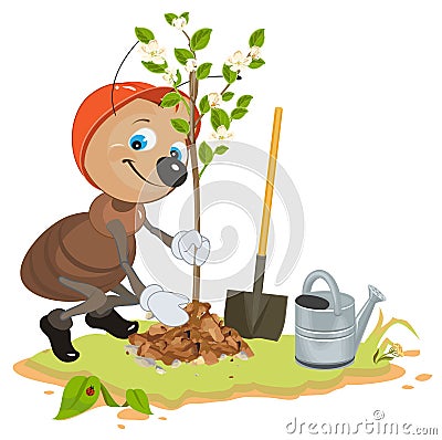 Ant Gardener planting tree. Seedling fruit tree. Apple tree sapling Vector Illustration