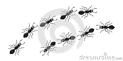 Ant line trail, small pest chain, black insect marching, animal colony, black silhouettes bug top view. Vector illustration Vector Illustration