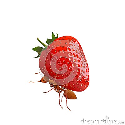 The Ant powerful carrying strawberry Vector Illustration