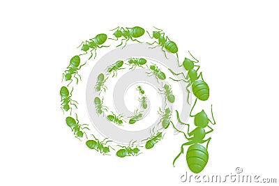 Ant Spiral Queue Stock Photo