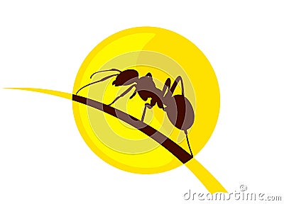 Ant from sun dawn. Vector Illustration