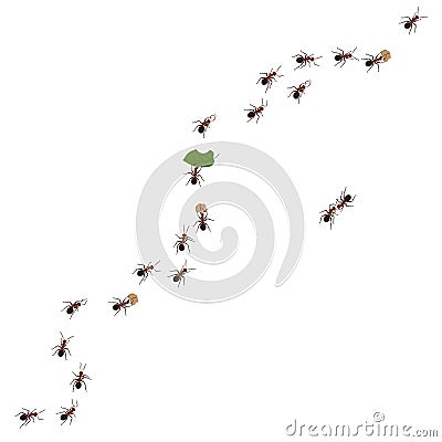 Ant team on wall, bug march set. Pests invasion, macro group line, trail for food, working team, spread insects. Vector Vector Illustration