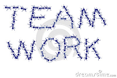 Ant Team Work Stock Photo