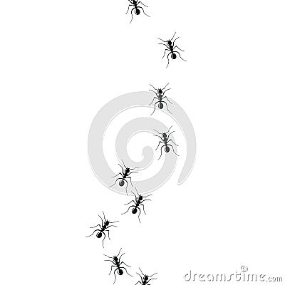 Ant trail colony on white background Vector Illustration