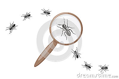 Ant under magnifying glass. Insect research. Concept.. Vector Illustration