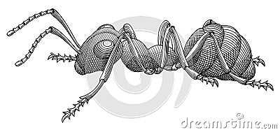 Ant vector Vector Illustration