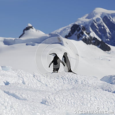 Antarctic coast Stock Photo