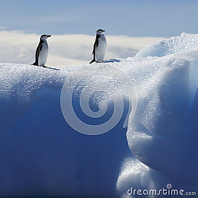 Antarctic coast Stock Photo