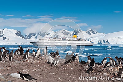 Antarctica penguins and cruise ship Stock Photo