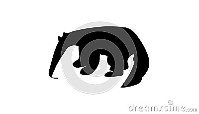 Anteater Silhouette On White Background Stock Photo