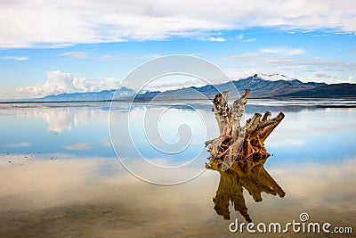 Antelope Island State Park Stock Photo