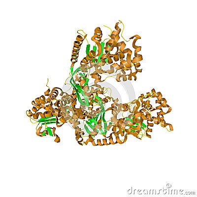 Anthrax toxin lethal factor. Crystal structure of toxin produced by bacterium Bacillus anthracis. Medical background Cartoon Illustration