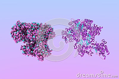 Anthrax toxin lethal factor. Molecular and crystal structure of anthrax toxin produced by bacterium Bacillus anthracis Cartoon Illustration