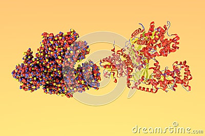 Anthrax toxin lethal factor. Molecular and crystal structure of anthrax toxin produced by bacterium Bacillus anthracis Cartoon Illustration