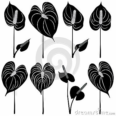 Anthurium (tailflower, flamingo flower, laceleaf) Pot Plant Icon Set, Anthurium Plant Flat Design Stock Photo