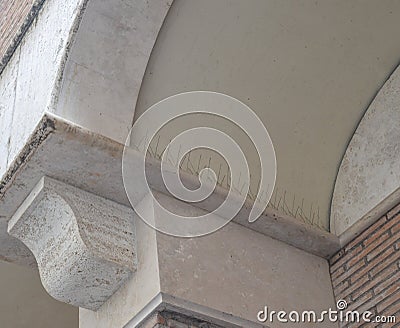 Anti bird plastic spike for protecting building Stock Photo